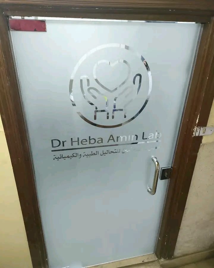 صورة 8